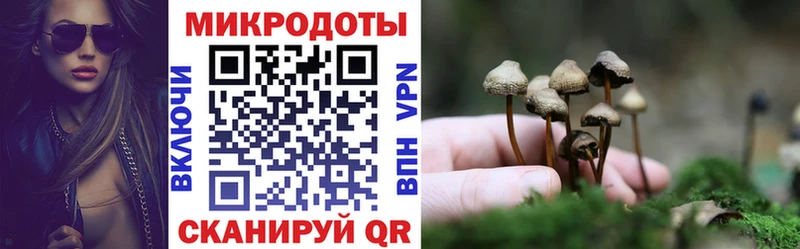 цена Воткинск OMG ссылка Галлюциногенные грибы мухоморы